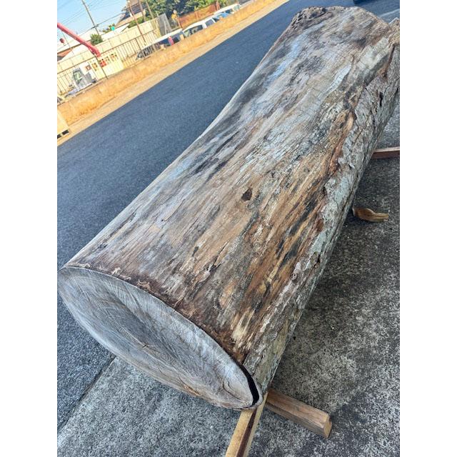 5-228 材ショ）銘木 欅けやき ケヤキ 超巨大 丸太 原木 末口930前後