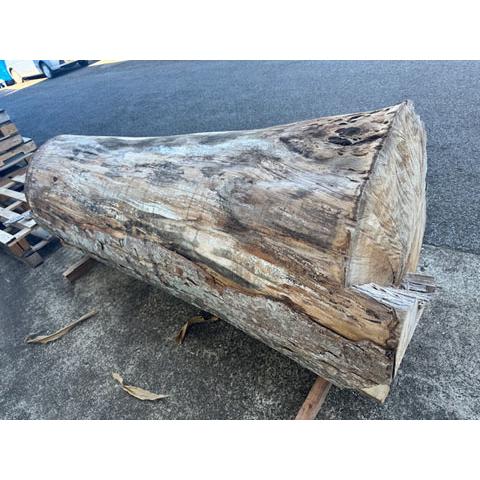 5-228 材ショ）銘木 欅けやき ケヤキ 超巨大 丸太 原木 末口930前後