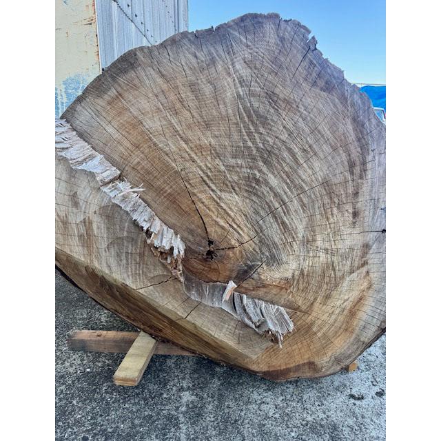 5-228 材ショ）銘木 欅けやき ケヤキ 超巨大 丸太 原木 末口930前後