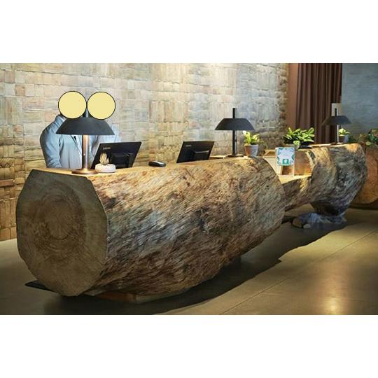 5-228 材ショ）銘木 欅けやき ケヤキ 超巨大 丸太 原木 末口930前後