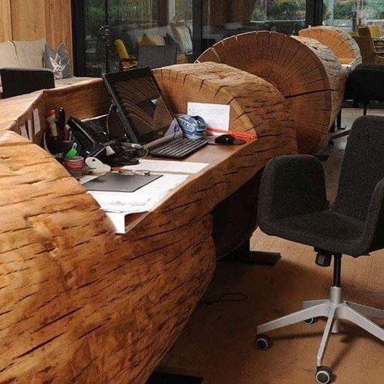 5-228 材ショ）銘木 欅けやき ケヤキ 超巨大 丸太 原木 末口930前後