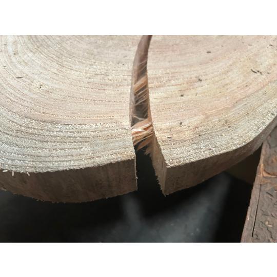 7-992【超目玉品】国産無垢 ひのき檜 ヒノキ桧 巨大輪切 丸太スライス