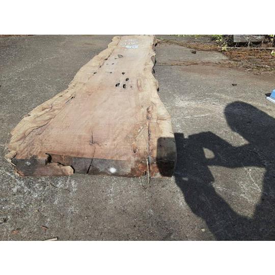K114 【超目玉激安大処分品】貴重 乾燥材 銘木 樫かしカシ カウンター