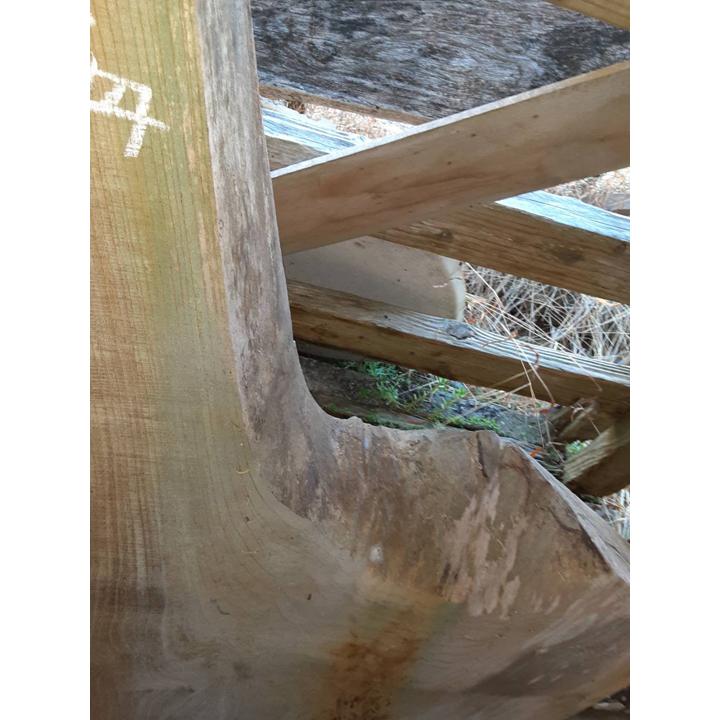 貴重品ケヤキの板 けやき 欅板 ケヤキ板 一枚板 約上部幅420〜560×厚み