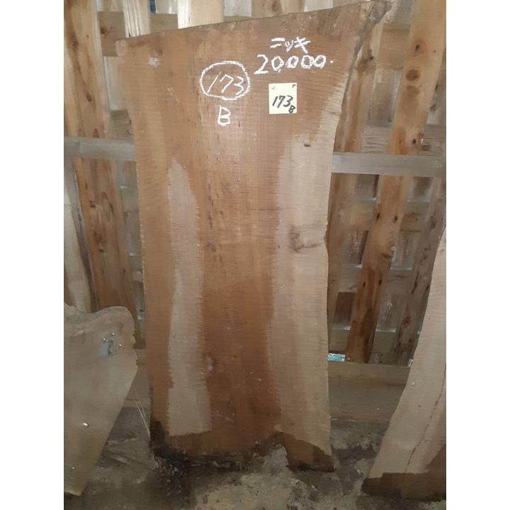 K173B【超目玉激安大処分品】貴重 乾燥材 銘木 ニッキ ニッケイ 肉桂