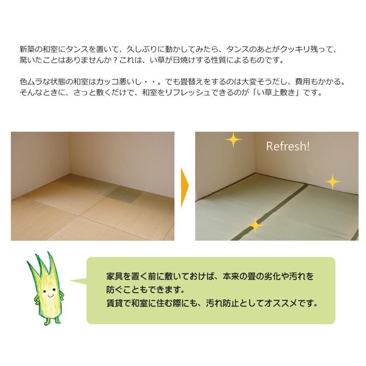 純国産 い草 上敷き カーペット 双目織 『草津』 江戸間3畳(約176×261cm）_1