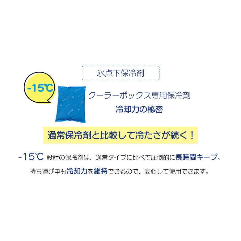 クーラーボックスセット クーラーボックス＋専用保冷剤＋キャリー