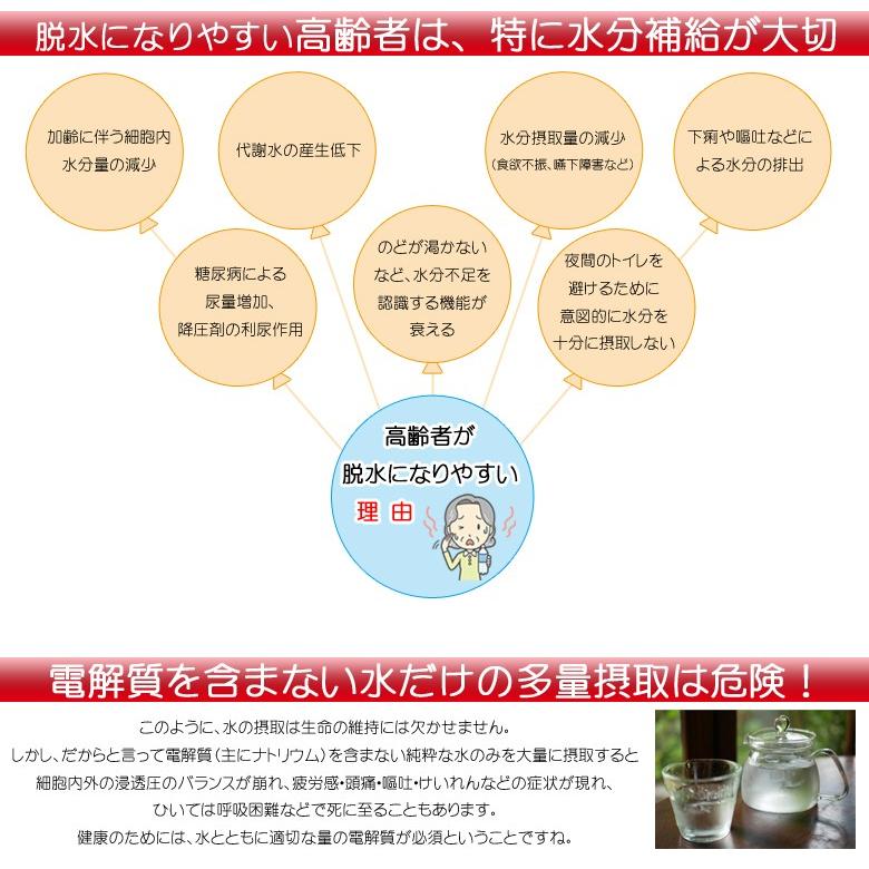ダイヤリンゲル ヘルス HEALTH 基本の1ヶ月パック 30包  ミネラル補給 熱中症対策 暑さ対策 経口補水液 粉末 水分補給 健康食品 送料無料 非常食 備蓄 |  | 07
