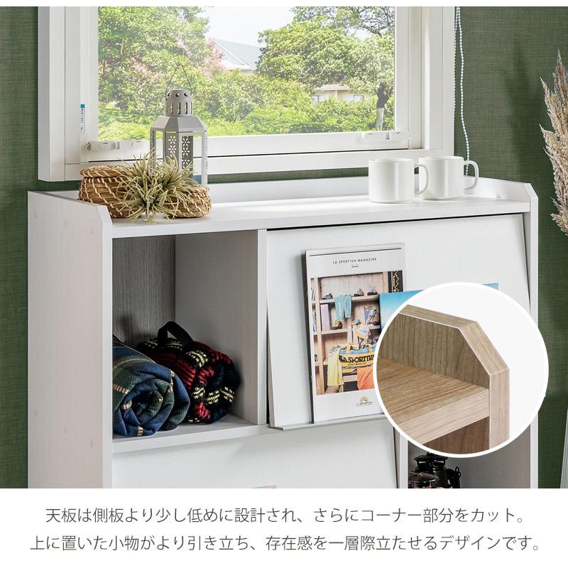 大洋（TAIYO） ディスプレイラック ミドルタイプ 日本製 フラップ扉 