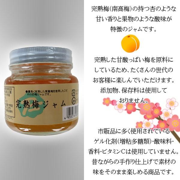 完熟梅ジャム150g 青梅 南高梅 奈良県 和歌山県 三重県 完熟梅ジャム150g 青梅 南高梅 奈良県 和歌山県 三重県