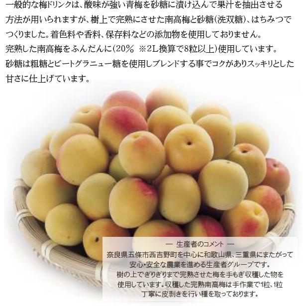南高黄熟蜜梅(おうじゅくみつうめ)1本(710ml)ドリンク 梅ドリンク 梅
