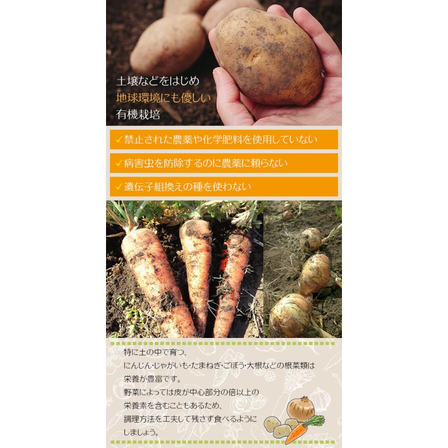 有機たまねぎ 3kg 有機玉ねぎ 有機玉葱 有機タマネギ 有機栽培 野菜 有機野菜 オーガニック 送料無料 Pa Onion3 ディアサーナ雑貨インテリアライフ 通販 Yahoo ショッピング