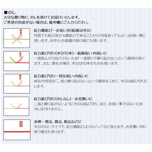 プラムハニー2本セット(500mlx2本)希釈タイプ 加糖梅ドリンク 梅