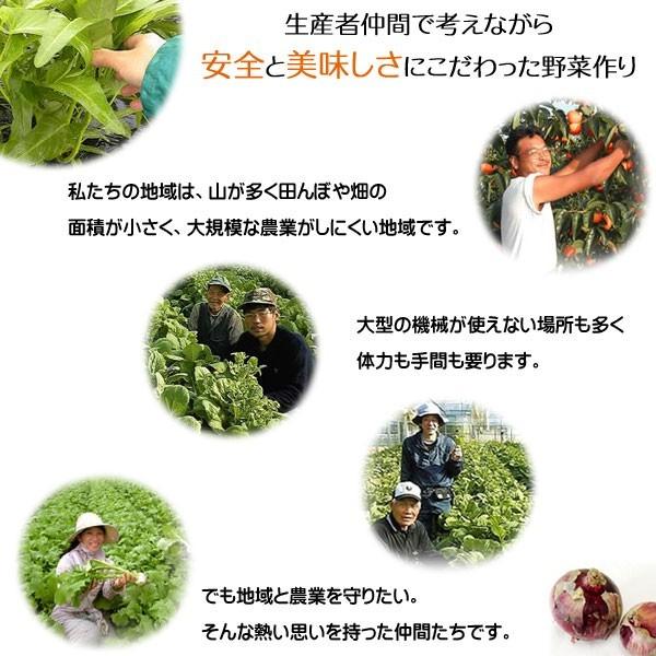 産地直送 旬の野菜セット(8〜10品目)有機質肥料 野菜 詰め合わせ 奈良 和歌山 三重 送料無料｜zainte｜03