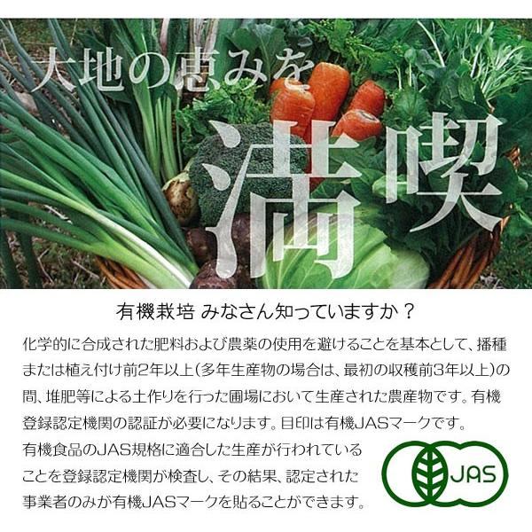 産地直送 有機野菜セット(8〜10品目)有機栽培 野菜 詰め合わせ 産地直送 有機野菜セット(8〜10品目)有機栽培 野菜 詰め合わせ