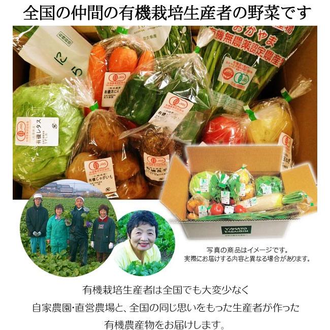 産地直送 有機野菜セット(8〜10品目)有機栽培 野菜 詰め合わせ 産地直送 有機野菜セット(8〜10品目)有機栽培 野菜 詰め合わせ