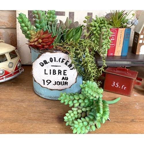 多肉フェイクグリーン ショート5エダ グリーン フェイク 造花 多肉植物 寄植え インテリアグリーン おうち おしゃれ かわいい 可愛い Fake 14 11 雑貨zakka Candy 通販 Yahoo ショッピング