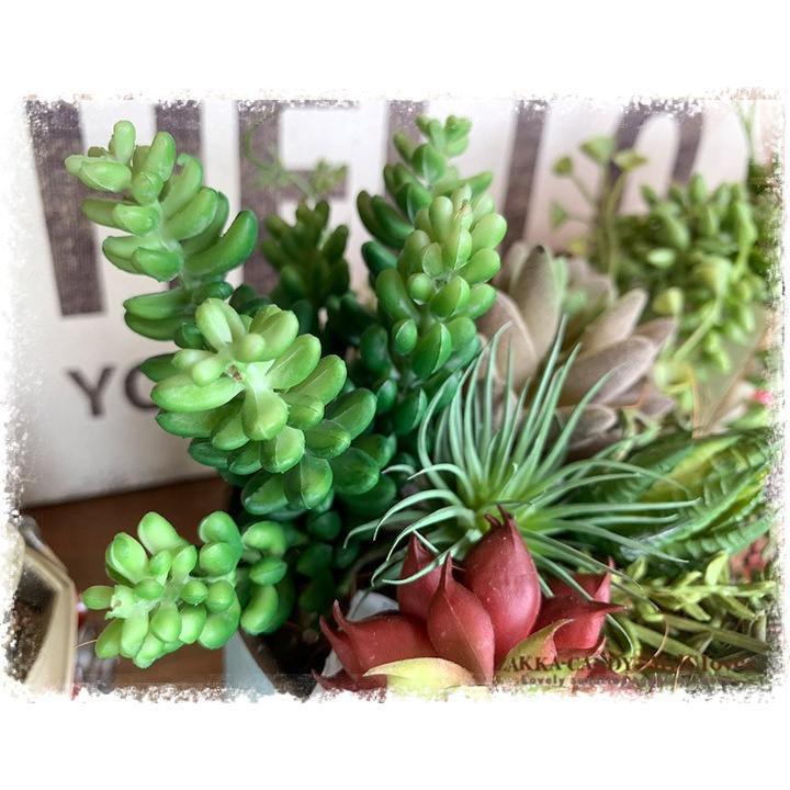 フェイクグリーン 6エダ グリーンクリーム フェイク 造花 多肉植物 寄植え インテリアグリーン おうち おしゃれ かわいい 可愛い Fake 14 28 雑貨zakka Candy 通販 Yahoo ショッピング
