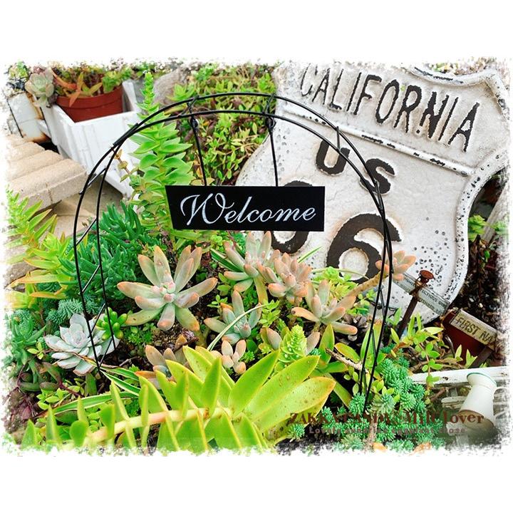買い物 アーチ ガーデンピック ウェルカム ガーデン雑貨 シンプル ガーデニング オブジェ 飾り おしゃれ Supplystudies Com