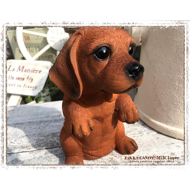 かわいい 犬 わんこ 置物 ガーデン雑貨 ガーデニング ミニチャウダックス カニンヘン ドッグハウス ギフト ダックス H9691 雑貨zakka Candy 通販 Yahoo ショッピング