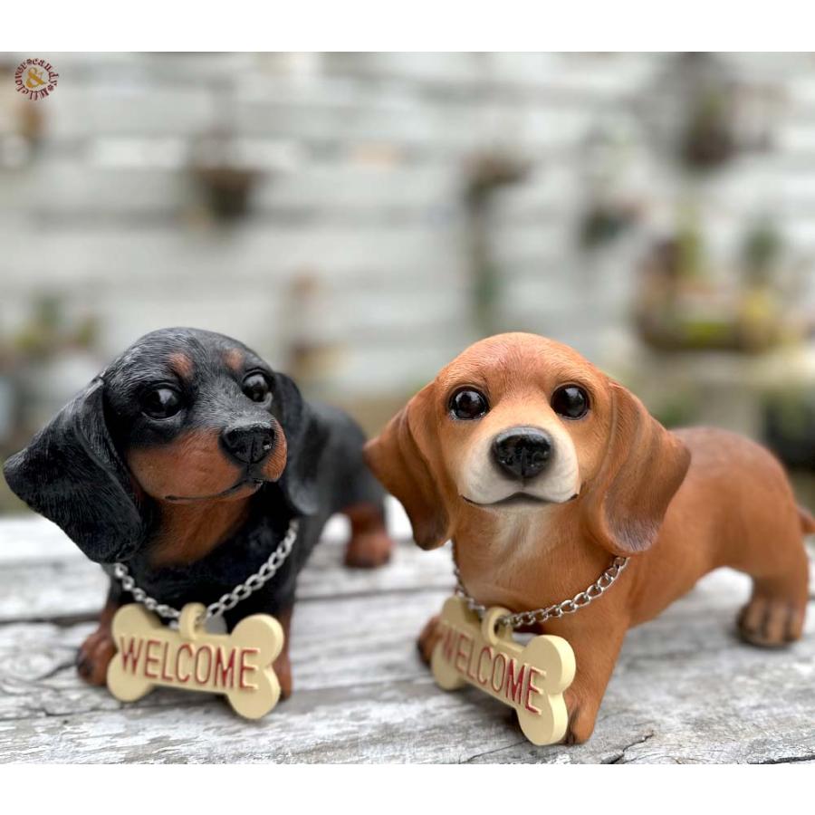 可愛いわんこの置物 ラブリーWELCOME ウェルカム ダックス M / パピー