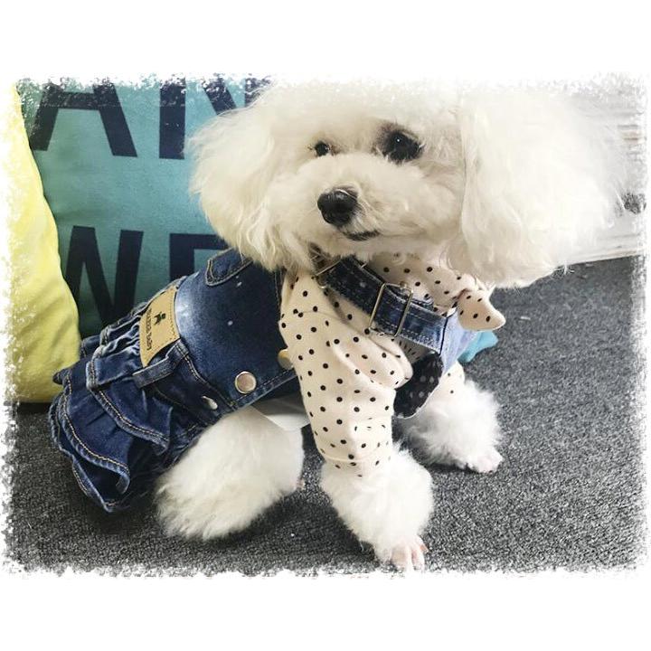 no.1628 ハンドメイド 犬服