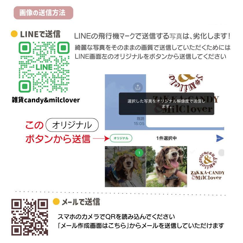 写真から作る うちの子マグカップ 名入れ対応｜ペット 写真入り
