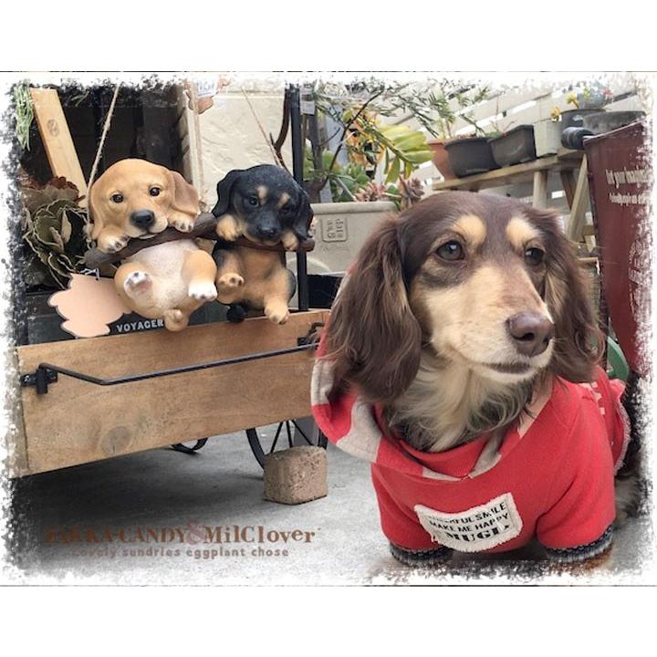 ガーデン インテリア かわいい 可愛いわんこの置物 いぬ 動物 玄関 置物 ダッックスフンド/ ブランコ ダックス UMEHT642