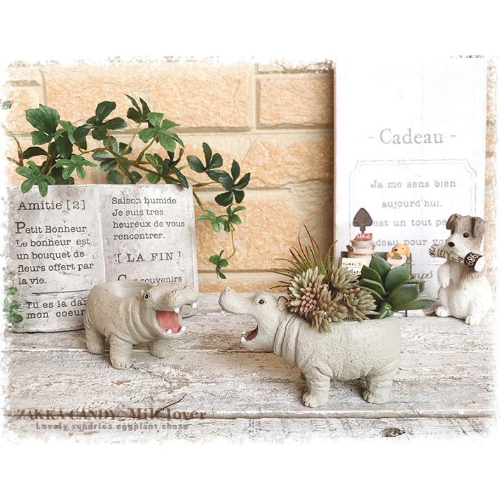 カバ ヒッポ ニールプエール ポットm ミニプランター 寄せ植え 小さい プランター フラワーポット かわいい 可愛い ナチュラル Yu 5e3710 雑貨zakka Candy 通販 Yahoo ショッピング