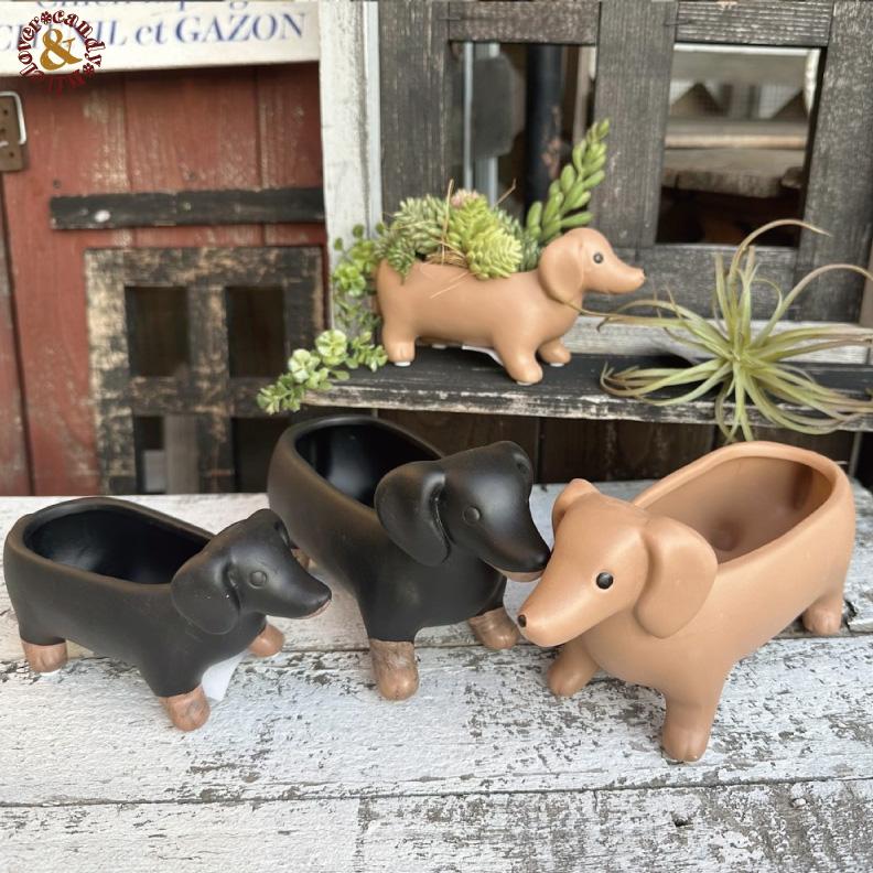 ちいさなダックスのテラコッタポット｜多肉植物 寄せ植え用 犬型
