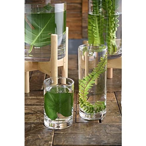 FOYER 割れない 花瓶 フラワーベース ポリカーボネート おしゃれ 高さ 80 cm 幅 15 cm 大きい 2300011 cm φ15cm H80cm