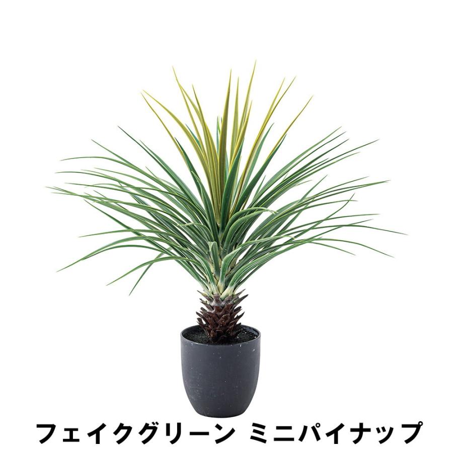 爆買 値下げ フェイクグリーン ミニパイナップル 幅61 奥行61 高さ67cm 造花 人工観葉植物 ガーデン ガーデン用品