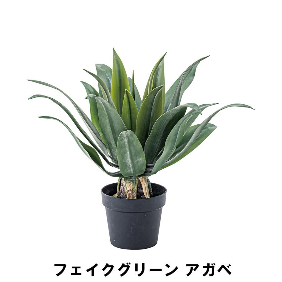 爆買 値下げ フェイクグリーン アガベ 幅53 奥行53 高さ53cm 造花 人工観葉植物 ガーデン ガーデン用品