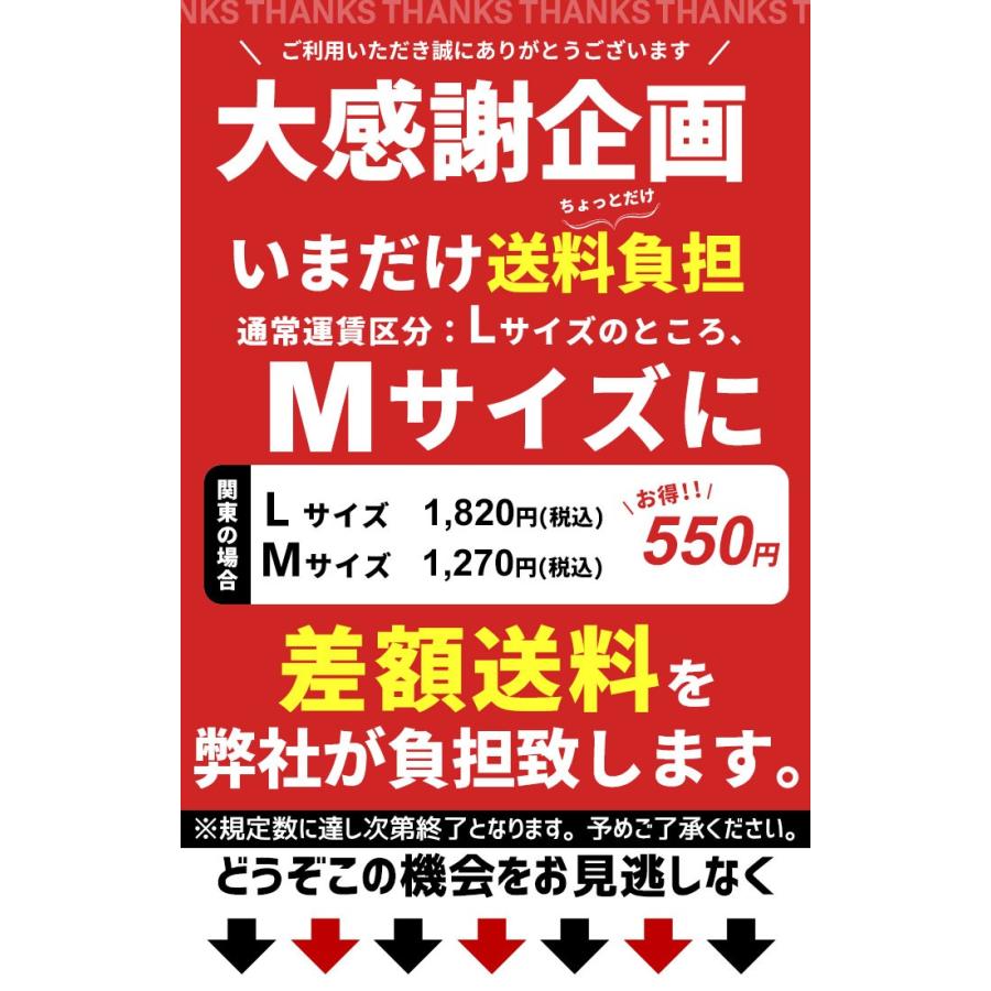 【完売】座卓 折りたたみ 120 ローテーブル ちゃぶ台 折脚角座卓 120cm幅 折れ脚 和風 テーブル センターテーブル 折畳み 天然木 木製 和室 旅館｜zakka-gu-plus｜04