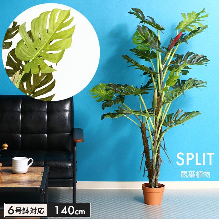フェイクグリーン 高さ 140cm 6号鉢対応 観葉植物 人工 スプリット 造花 オフィス 観葉 植物 鉢植え インテリア 室内 鉢 目隠し リビング M5 Mgkfgb ザッカーグplus いいもの見つけた 通販 Yahoo ショッピング