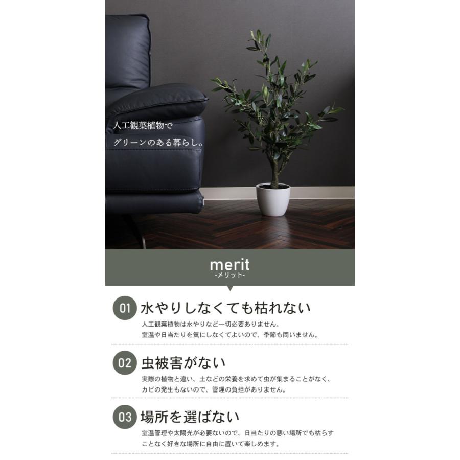 フェイクグリーン 高さcm 値下げ 5号鉢対応 観葉植物 人工 オリーブ 人工 造花 オフィス 観葉 植物 鉢植え インテリア 室内 鉢 M5 Mgkfgb ザッカーグplus いいもの見つけた 通販 Yahoo ショッピング