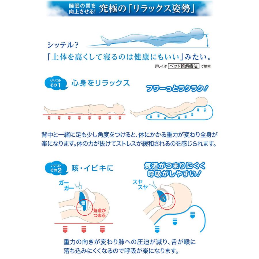 年末のプロモーション大特価 枕 ビーズ 特大 抱き枕 ビーズクッション 日本製 56 110 cm 全身枕 大きい まくら 快眠 安眠 いびき 肩こり 解消 軽減 パウダービーズ 気持ちいい Cisama Sc Gov Br