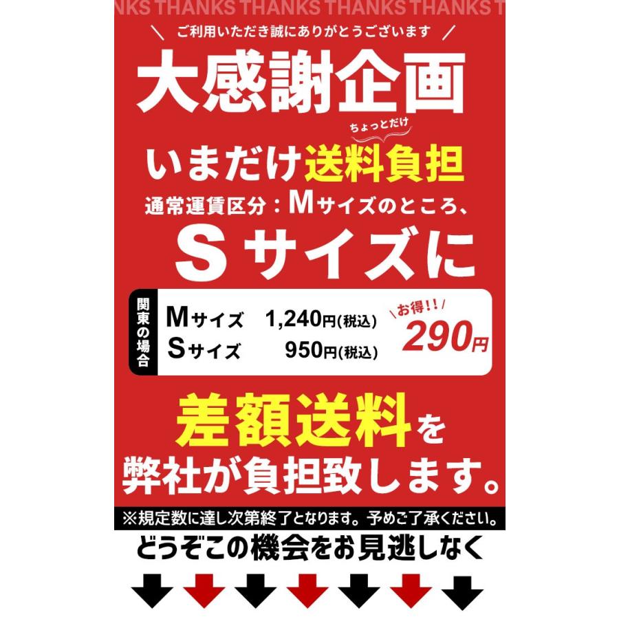 ハンガーラック スリム ワードローブ 衣類収納 パイプハンガー コートハンガー 幅164×奥行46×高さ107.5〜165cm｜zakka-gu-plus｜04