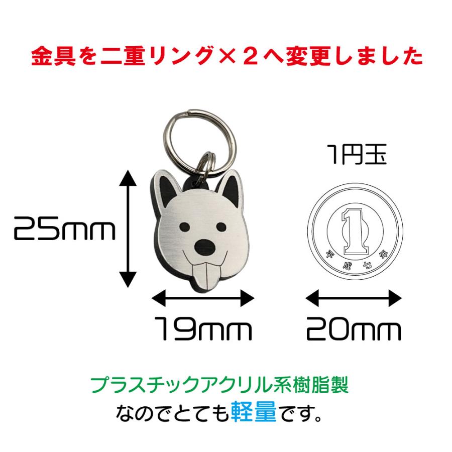 迷子札 軽量 プレート 電話番号 小型犬 名前 アクリル製 柴犬 【柴