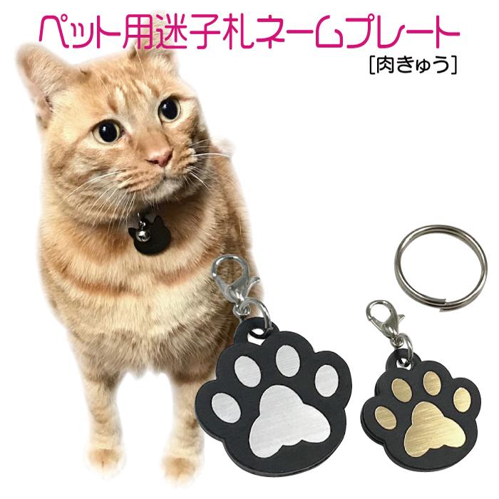 迷子札 軽量 プレート 電話番号 小型犬 猫 名前 アクリル製 シルバー ゴールド 肉きゅう｜zakka-jz