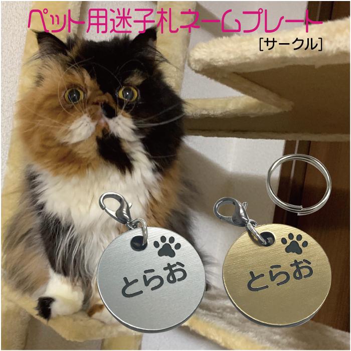 迷子札 軽量 プレート 電話番号 小型犬 猫 名前 アクリル製 シルバー ゴールド サークル Pmsg06 雑貨ジェイズ 通販 Yahoo ショッピング