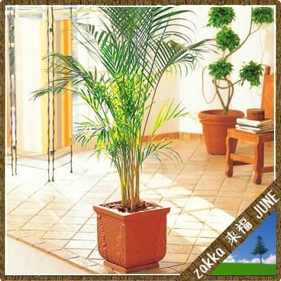 鉢カバー レッドリーフプランター 38型 ブラウン 4個組 37×37×H39cm【大和プラ販 ヤマトプラスチック鉢 4903266011253】の画像