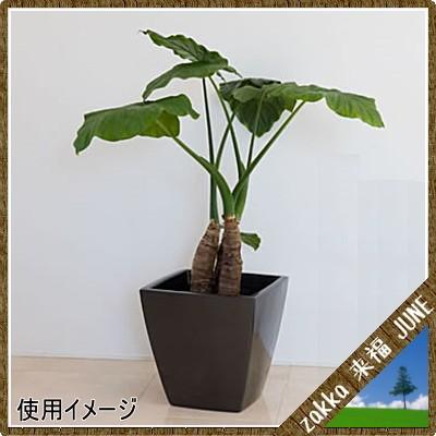 大型鉢カバー アーバンポット AS型 メタリックグレー AS-43 43×43×H40cm【大和プラ販 ヤマトプラスチック グラスファイバー FRP 植木鉢 4903266719043】