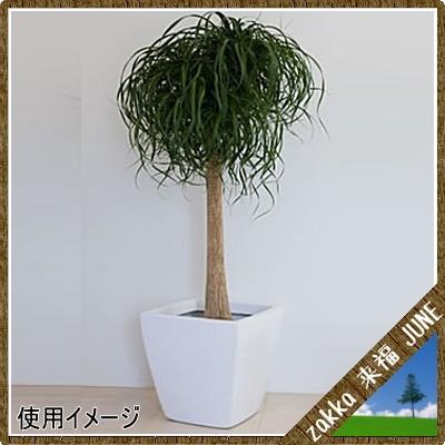 大型鉢カバー アーバンポット AS型 ホワイト AS-43 43×43×H40cm【大和プラ販 ヤマトプラスチック グラスファイバー FRP 植木鉢 4903266719050】の画像