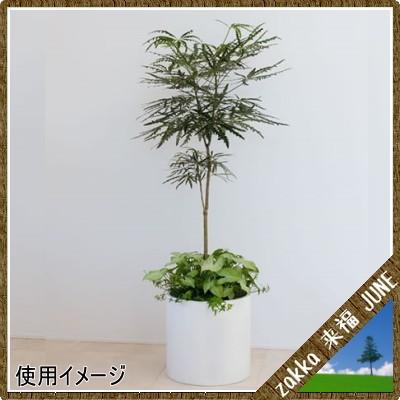 大型鉢カバー リングポットR型 ホワイト R-34型 34×H33cm【大和プラ販 ヤマトプラスチック グラスファイバー FRP 植木鉢 4903266719166】の画像