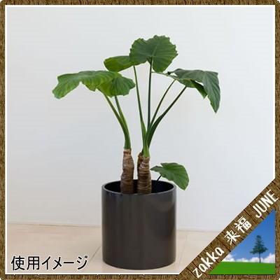 大型鉢カバー リングポット R型 メタリックグレー R-34型 34×H33cm【大和プラ販 ヤマトプラスチック グラスファイバー FRP 植木鉢 4903266719418】の画像