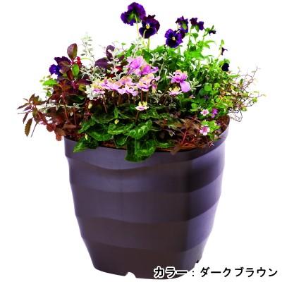大和プラスチック プラ鉢 フレグラースクエアポット 32型 ダーク