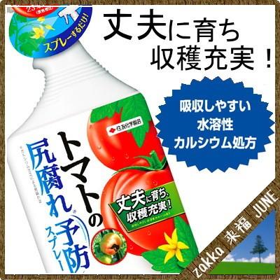 KINCHO園芸 特殊肥料 トマトの尻腐れ予防スプレー 950ml【KINCHO園芸