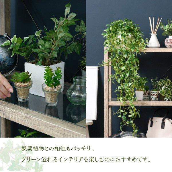 ボタニカル 花台 鉢置き台 ラック 3段 フラワースタンド 〔幅60.5×奥行30.5×高さ100cm〕 古材 ガラス シャビ― オープンシェルフ 木製 飾り棚｜zakka-lukit｜05