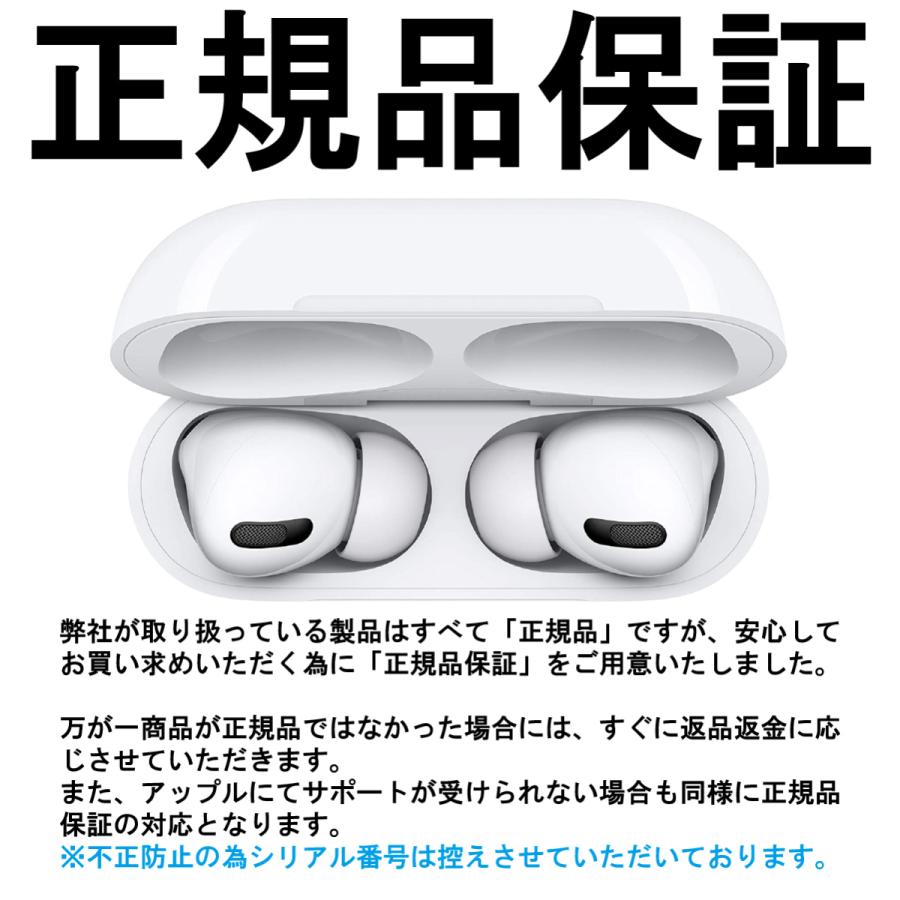 Apple AirPods Pro ノイズキャンセリング付 Bluetooth イヤホン Apple AirPods Pro ノイズキャンセリング付 Bluetooth イヤホン